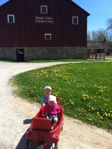 54)  Visiting the animals at Bronte Park.