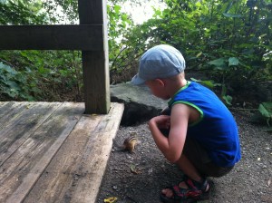 52)  Hand-feeding chipmunks at the LaSalle marina.