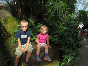 46.  The Butterfly Conservatory in Niagara Falls.