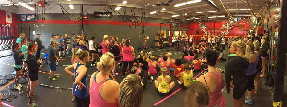 11990520_906028949472042_6860526219010172357_n