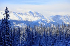 9246195456_2a61d24911_k